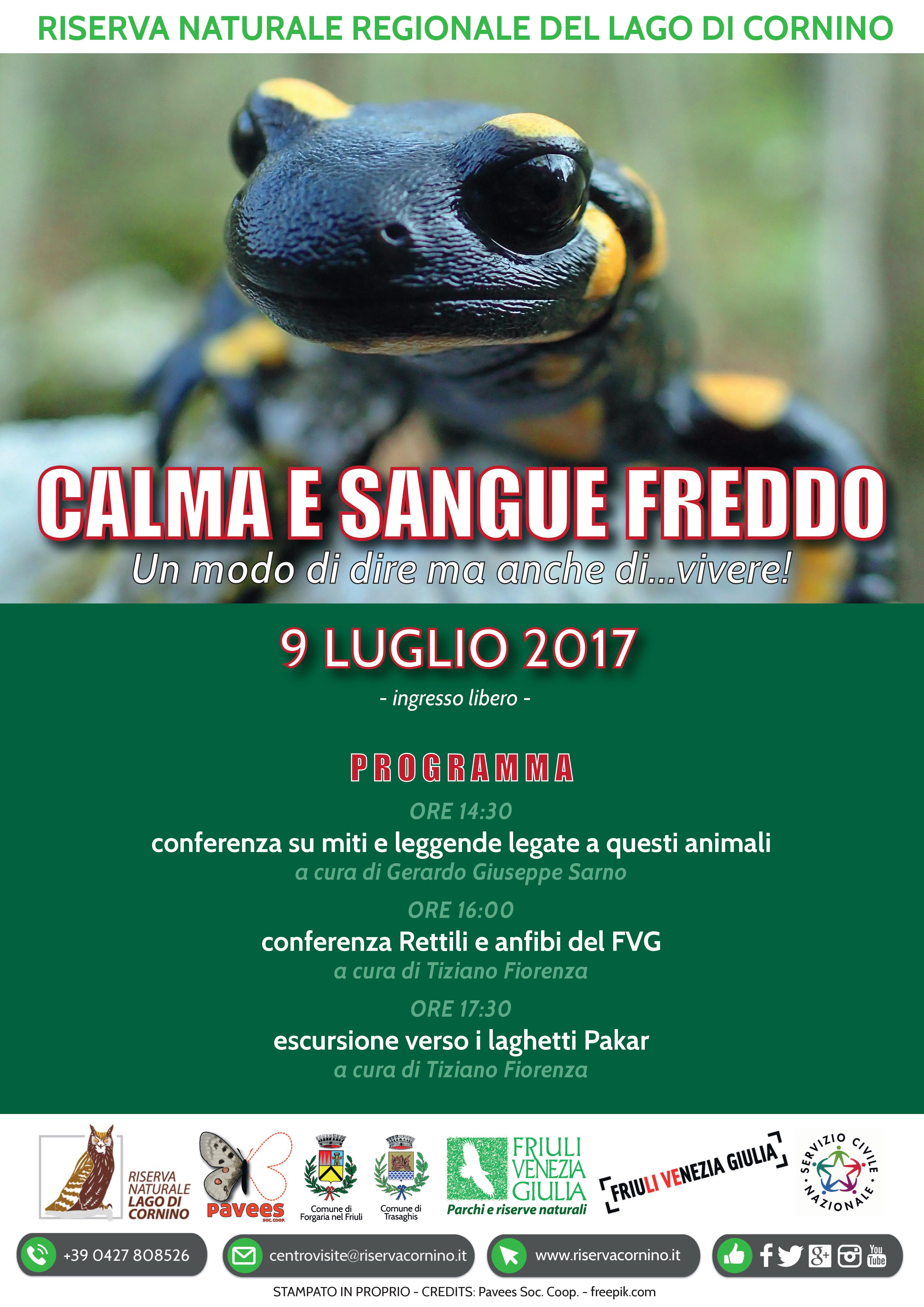 CALMA E SANGUE FREDDO un modo di dire ma anche di…vivere! Riserva