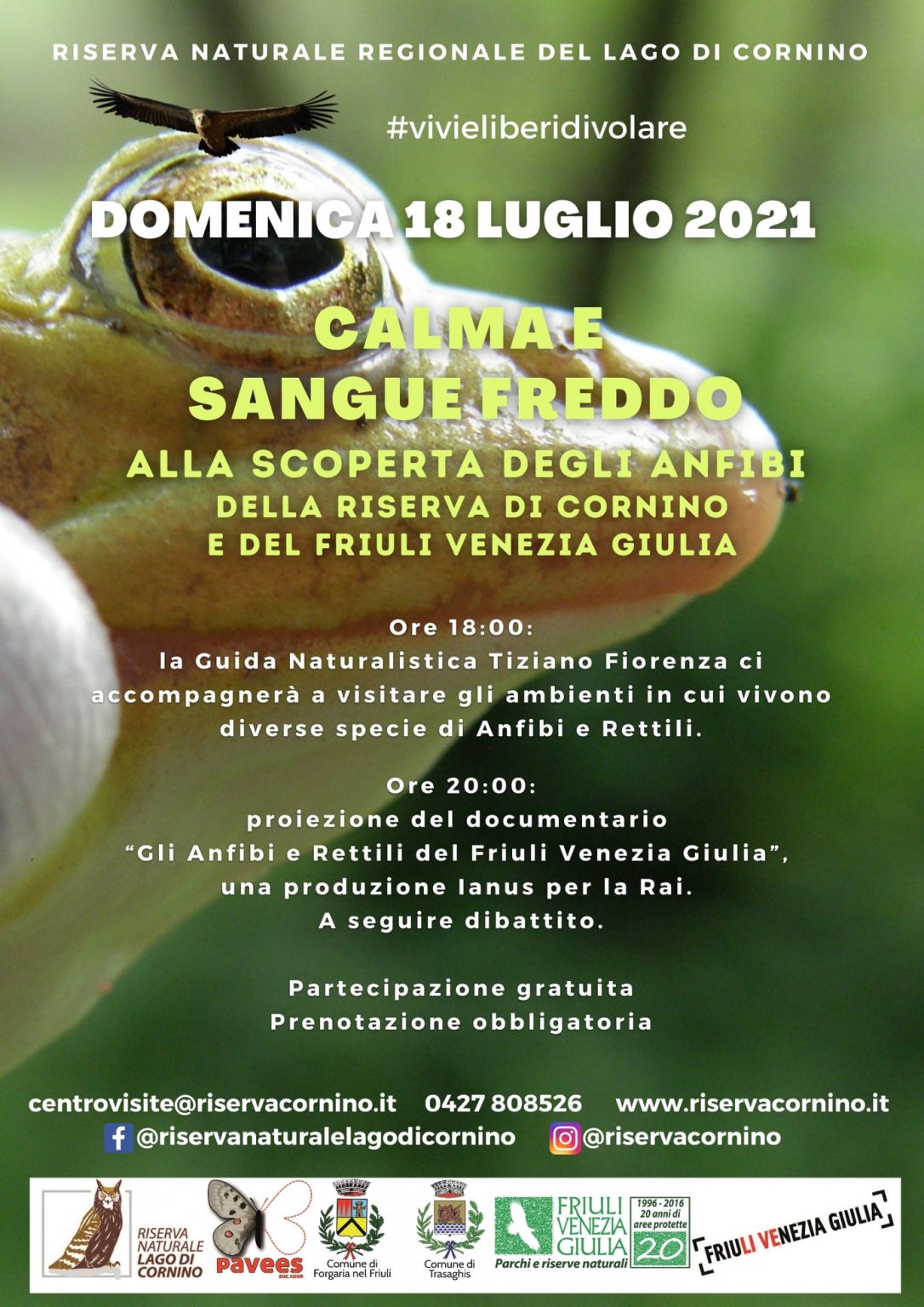 CALMA E SANGUE FREDDO Riserva naturale regionale del Lago di Cornino